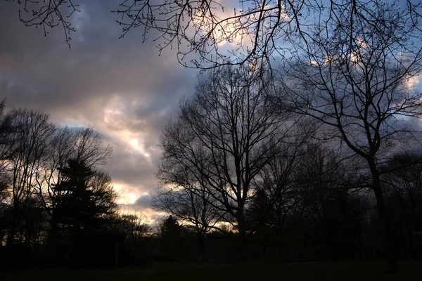 Silhouettes Bare Trees Park Cloudy Sunset Sky Dusk — Zdjęcie stockowe