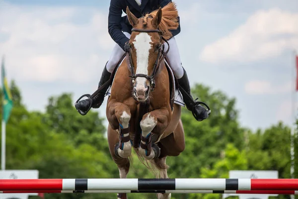Riders Horse Jumping Competition — Photo