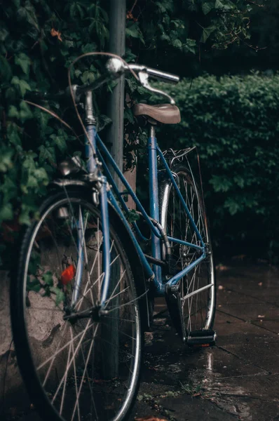 Eine Vertikale Aufnahme Eines Einer Ländlichen Nachbarschaft Geparkten Fahrrads — Stockfoto