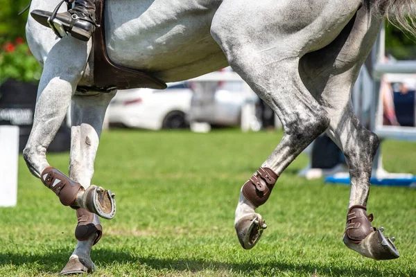 Riders Horse Jumping Competition — Foto de Stock