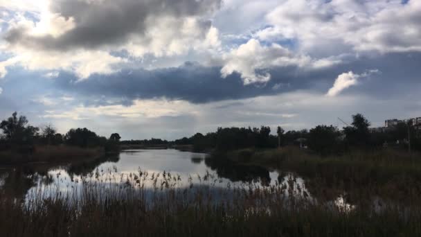 Malerischer Blick Auf Den Fluss Inmitten Von Wiesen Einem Sonnigen — Stockvideo