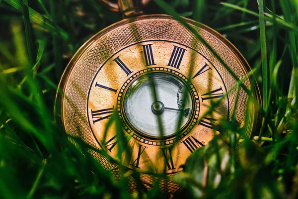 Selective Focus Shot Greek Numeral Clock Green Grass — Φωτογραφία Αρχείου