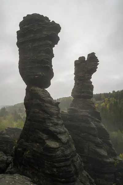 Vertical Shot Huge Rock Formations Trees Saxon Switzerland National Park — Fotografia de Stock