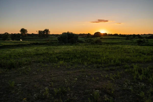 Ein Grüner Park Bei Sonnenuntergang — Stockfoto