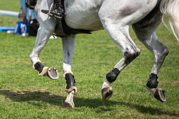 Riders Horse Jumping Competition — Foto de Stock