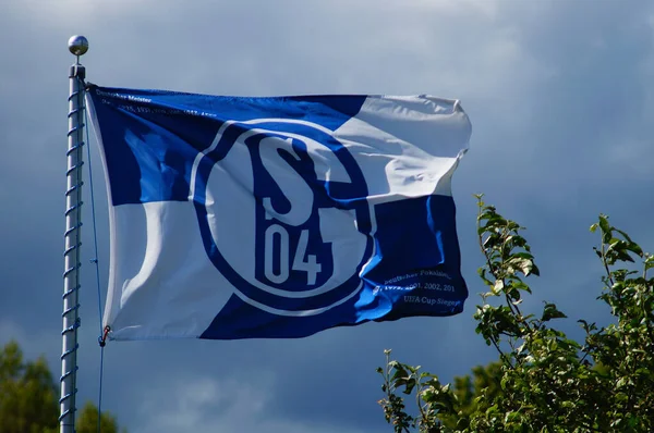 Frankfurt Germany May 2021 Schalke Flag Flies Allotment Garden Frankfurt — Zdjęcie stockowe