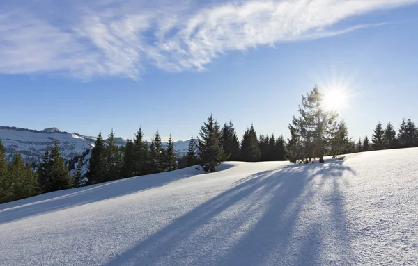 Снежный Пейзаж Солнечный День Зимой — стоковое фото