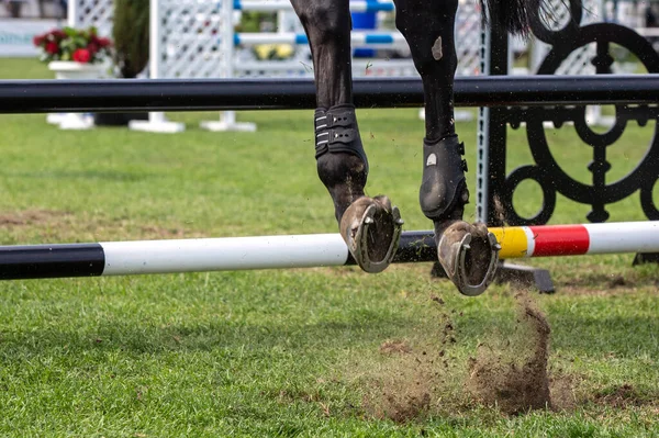Riders Horse Jumping Competition — Foto de Stock