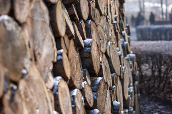 Closeup View Piled Cut Tree Trunks Timber Trade Field — Fotografia de Stock