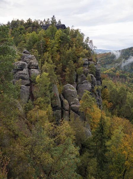 Vertical Shot Huge Rock Formations Dense Trees Saxon Switzerland National — Fotografia de Stock