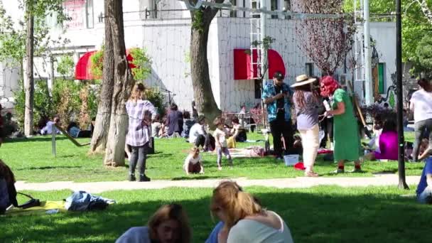 Persone Nel Parco Luce Del Sole Alberi Verdi Vacanza Rilassante — Video Stock