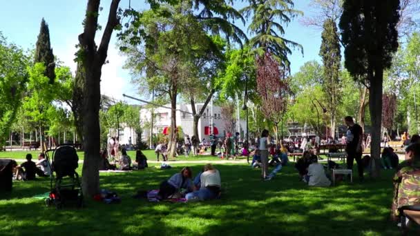公园里的人 阳光和绿树 假日的放松 — 图库视频影像