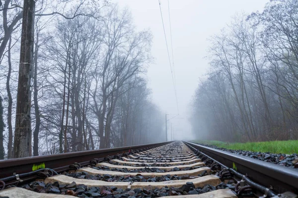 Beautiful View Gloomy Sky Railroads Surrounded Trees — Zdjęcie stockowe