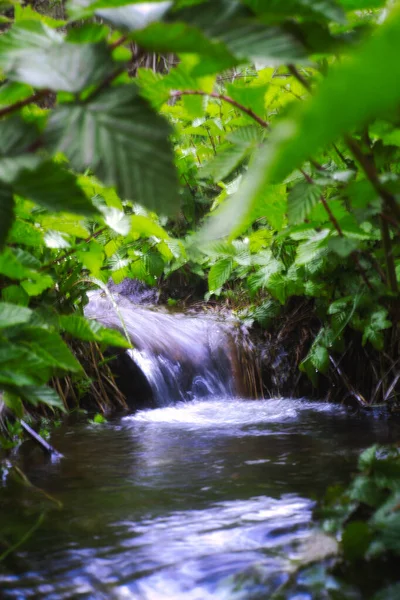 Natural View Water Flowing Creek Forest — Foto de Stock