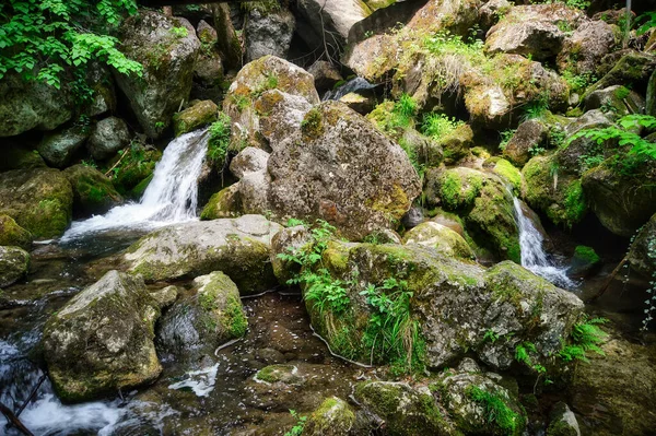 아름답고 자연적으로 흐르는 폭포와 바위들 일부는 이끼로 — 스톡 사진