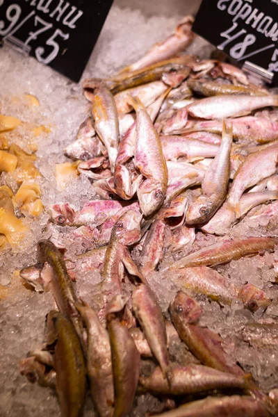 Closeup Shot Fresh Red Mullet Fish Ice Seafood Market — Stockfoto