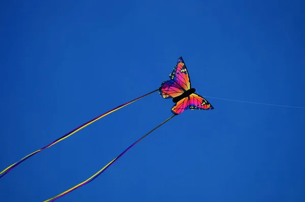 Stormy Day Encourages Kite Flying Here Butterfly Blue Sky Scattered — Zdjęcie stockowe