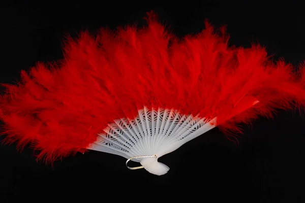 Closeup Shot Hand Fan Red Feathers Isolated Black Background — Stock Photo, Image