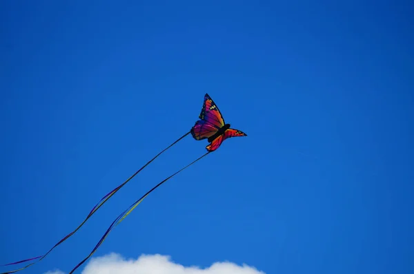 Stormy Day Encourages Kite Flying Here Butterfly Blue Sky Scattered — Stock Fotó