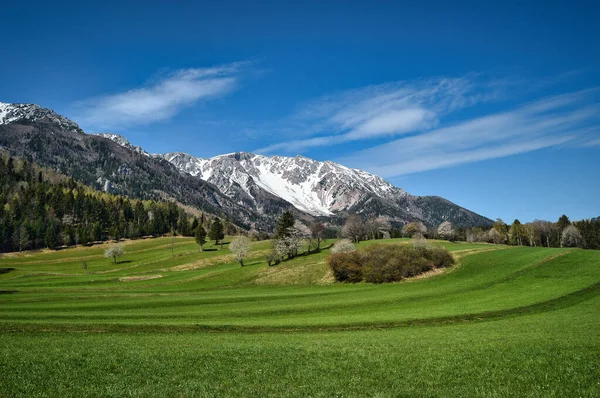 Landscape Beautiful Hiking Paradise Schneeberg Spring Snow Mountain Snow Covered — Stock Fotó