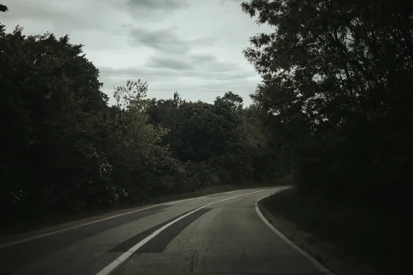 Curvy Road Surrounded Trees Cloudy Sky Dim Colors — Stock Photo, Image