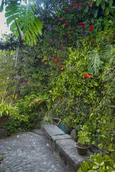 Open Spaces New Normal Covid Guatemala Gardening Natural Design Antigua — Foto de Stock