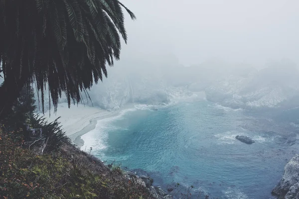 Una Palmera Una Colina Rodeada Por Mar Cubierta Niebla Durante — Foto de Stock