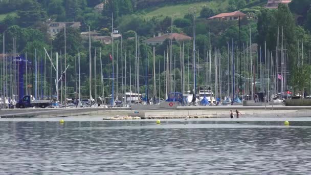 Geneva Switzerland June 2021 Plage Des Eaux Vives Beach Harbor — 비디오