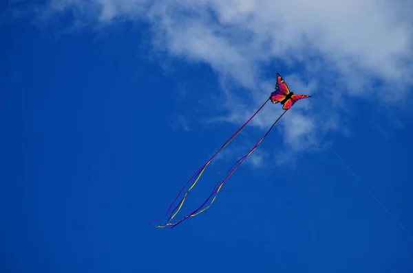 Stormy Day Encourages Kite Flying Here Butterfly Blue Sky Scattered — Stock Fotó