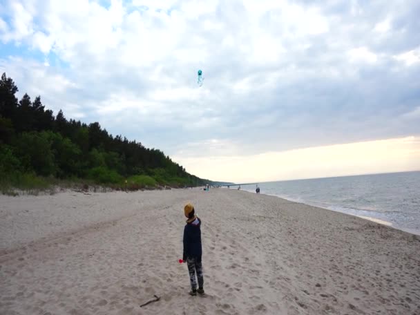曇りで風の強い午後のビーチで水の近くに砂の上に立っている間 若い男の子は凧で楽しんでいます — ストック動画