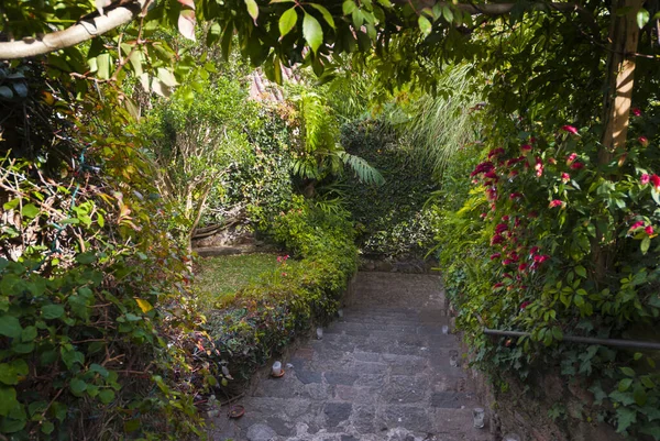 Open Spaces New Normal Covid Guatemala Gardening Natural Design Antigua — Stok fotoğraf