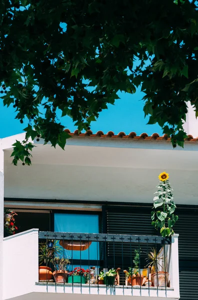 Egy Függőleges Felvétel Egy Gyönyörű Erkélyről — Stock Fotó