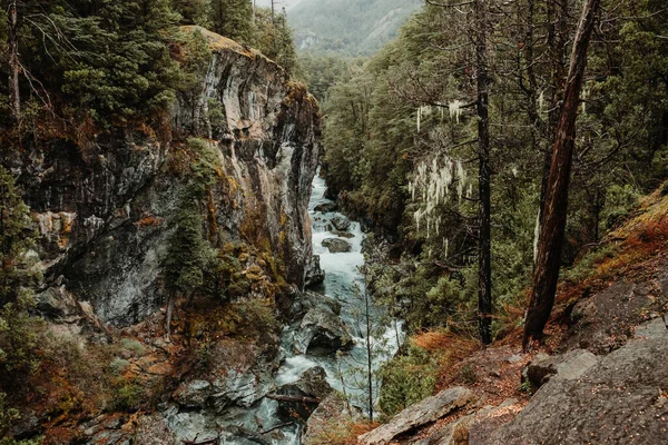 Ein Fluss Fließt Durch Die Felsen Wald — Stockfoto