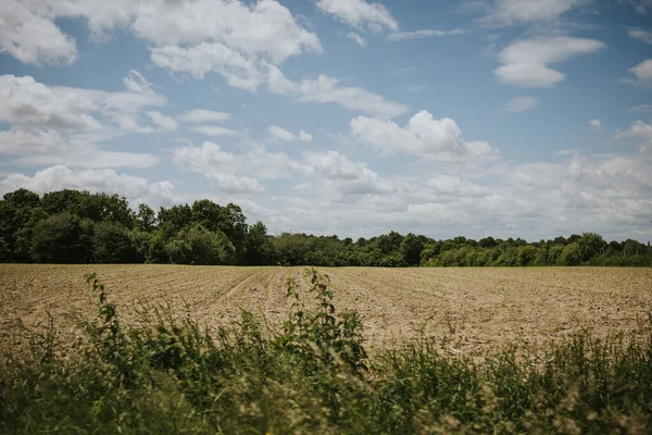 Agricultural Field Cloudy Sky — Stock Photo, Image