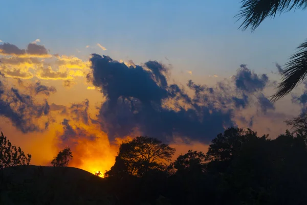 Bäume Silhouette Auf Offenem Feld Dramatischen Sonnenuntergang Guatemala — Stockfoto