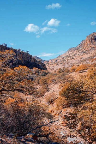 Vertical Shot Dry Hillsides Trees Blue Sky — Stockfoto