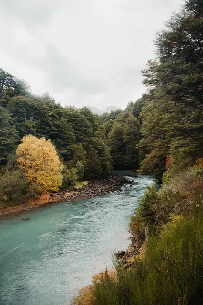 Річка Тече Крізь Ліси — стокове фото