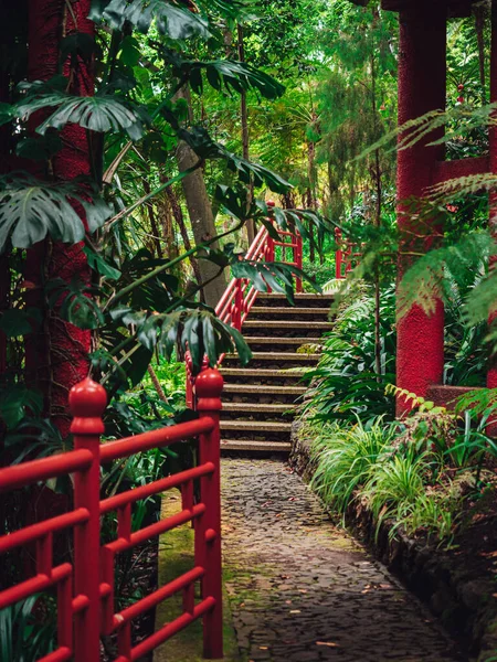 Eine Vertikale Aufnahme Einer Treppe Und Roter Zäune Mit Grünen — Stockfoto