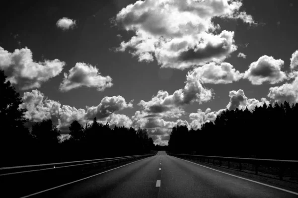 Grayscale Shot Empty Road Surrounded Forest Trees Cloudy Sky Background — Stock Photo, Image