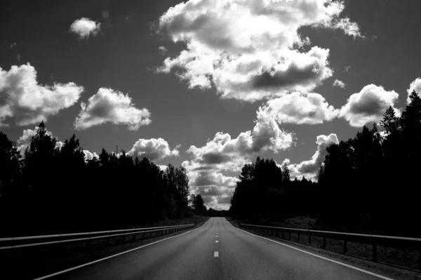 Empty Road Lined Trees Cloudy Sky Shot Grayscale — Stock Photo, Image