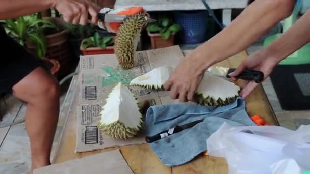 Hommes Coupant Épluchant Durians Sur Table — Video