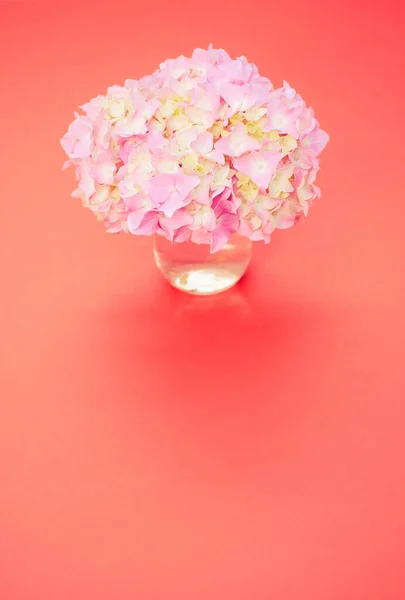 Een Verticaal Shot Van Een Boeket Roze Hortensia Een Oranje — Stockfoto