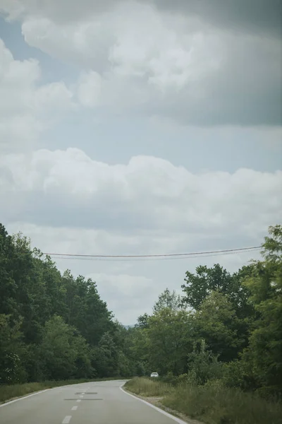 Vertical Shot Road Surrounded Trees Cloudy Day — Zdjęcie stockowe