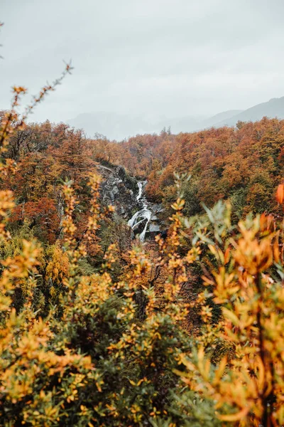 秋の森の中の滝の美しいショット — ストック写真