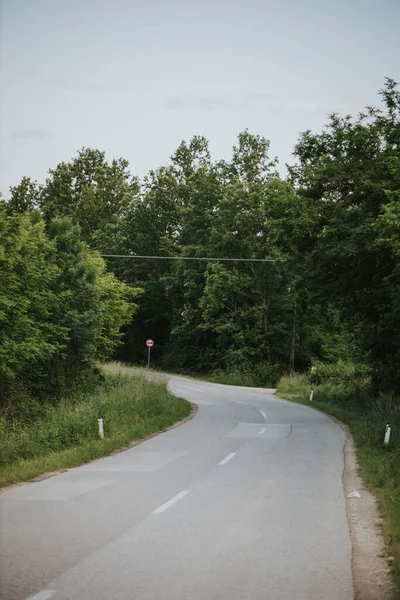 Vertical Shot Empty Road Surrounded Trees — Stock Photo, Image