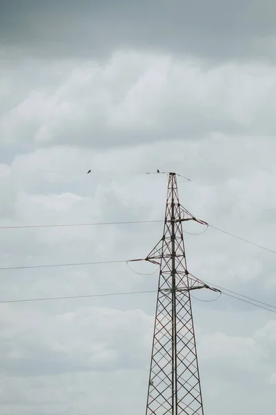 Vertical Shot Power Transmission Line Cloudy Day — Fotografia de Stock