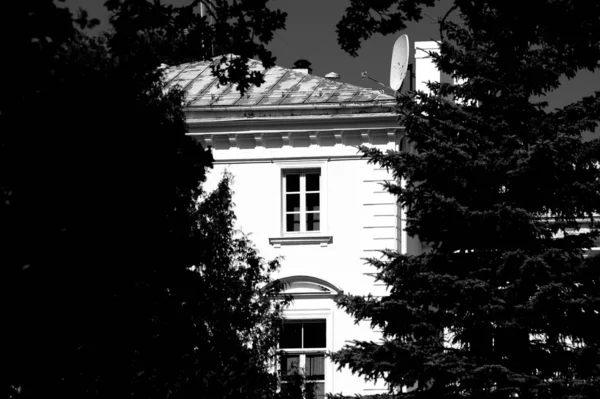 Graustufenaufnahme Eines Hauses Zwischen Bäumen Einem Garten — Stockfoto