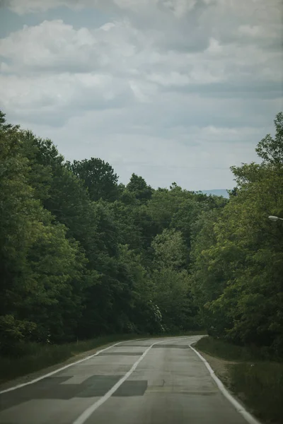 Vertical Shot Empty Road Surrounded Trees Cloudy Day — Fotografia de Stock