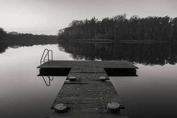 Grayscale Shot Wooden Pier Peaceful Lake Forest — Stock Photo, Image
