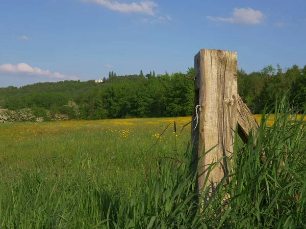 Summer Meadow Wooden Gate Post Wide Shot — Stock Photo, Image